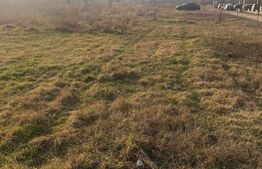 Teren extravilan, 7200 mp, in Giroc langa Timisoara!