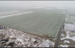 Oportunitate! Teren extravilan, 50000 mp, Parta!