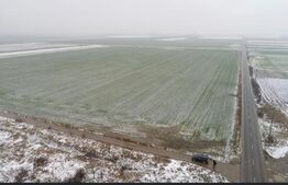 Oportunitate! Teren extravilan, 50000 mp, Parta!