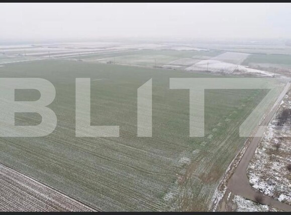 Teren de vânzare Exterior Sud - 128008TV | BLITZ Timișoara | Poza7