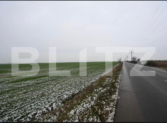 Teren de vânzare Exterior Sud - 128008TV | BLITZ Timișoara | Poza3