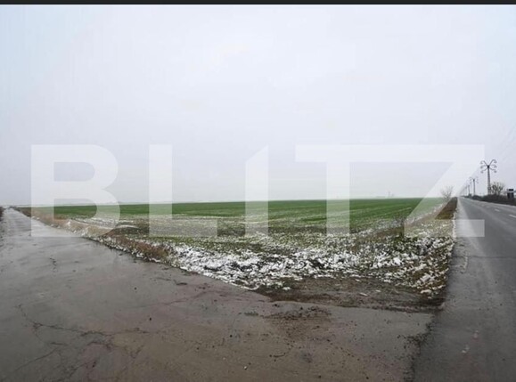 Teren de vânzare Exterior Sud - 128008TV | BLITZ Timișoara | Poza2