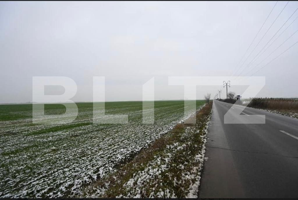 Teren de vânzare Exterior Sud - 128008TV | BLITZ Timișoara | Poza3