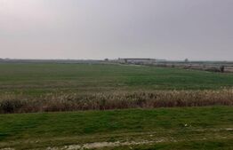 Teren de 5 ha, în zona Şagului lângă Centură