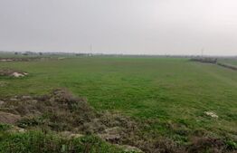 Teren de 5 ha, în zona Şagului lângă Centură