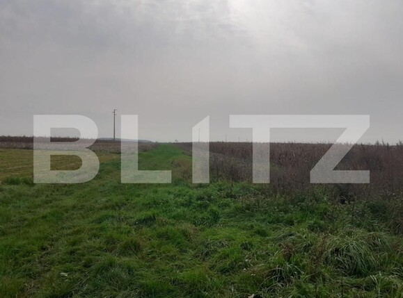 Teren de vânzare Sagului - 128043TV | BLITZ Timișoara | Poza2