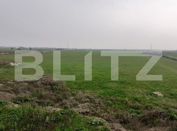 Teren de vânzare Sagului - 128043TV | BLITZ Timișoara | Poza4