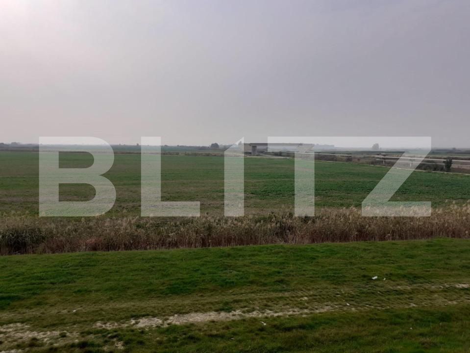 Teren de vânzare Sagului - 128043TV | BLITZ Timișoara | Poza3