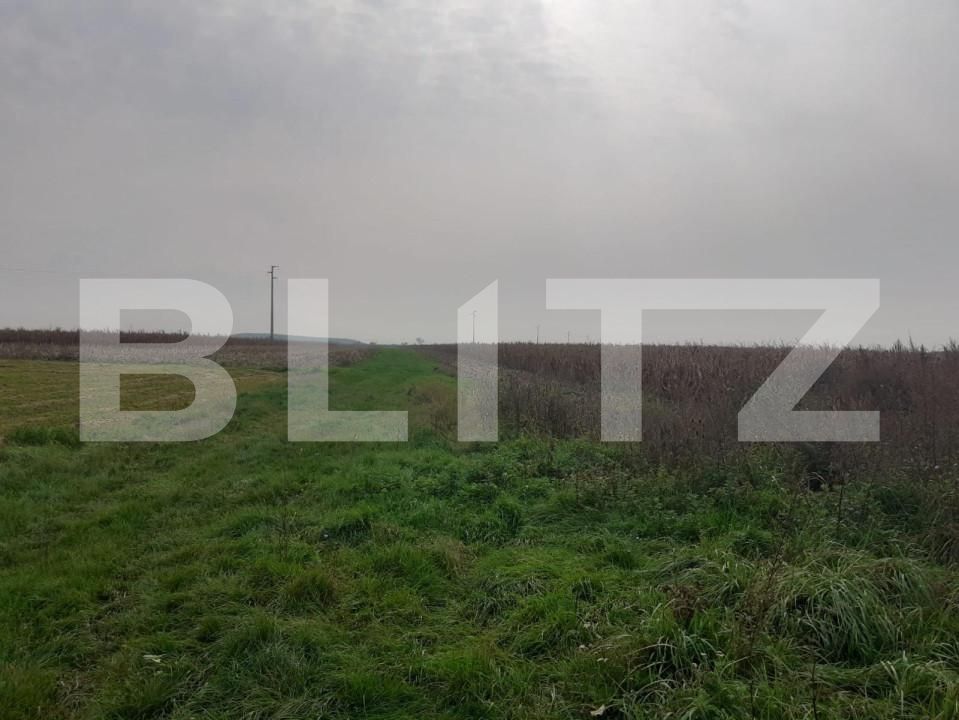 Teren de vânzare Sagului - 128043TV | BLITZ Timișoara | Poza2