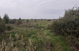 Teren de 39600 mp, PUZ, lângă Staţia de Epurare 