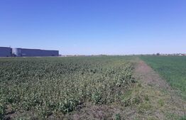 Teren cu suprafață de 3 ha, front 52 m, zona Calea Aradului