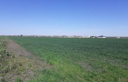 Teren cu suprafață de 3 ha, front 52 m, zona Calea Aradului