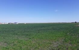 Teren cu suprafață de 3 ha, front 52 m, zona Calea Aradului