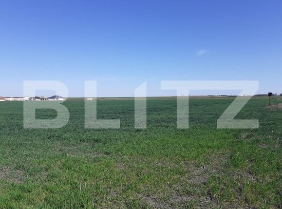 Teren de vânzare Exterior Nord - 128052TV | BLITZ Timișoara | Poza1