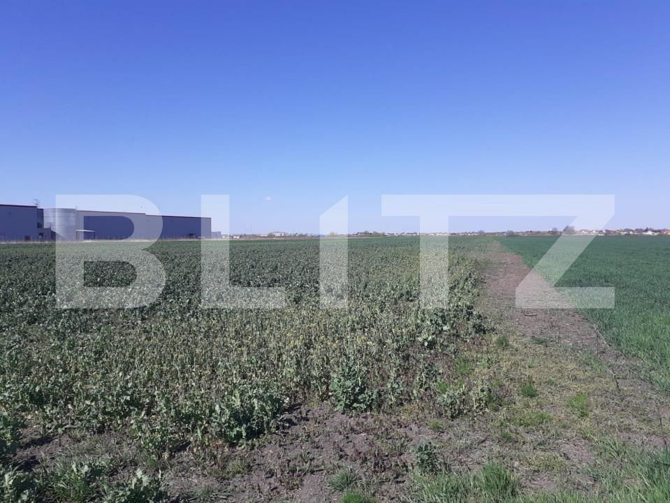 Teren de vânzare Exterior Nord - 128052TV | BLITZ Timișoara | Poza2