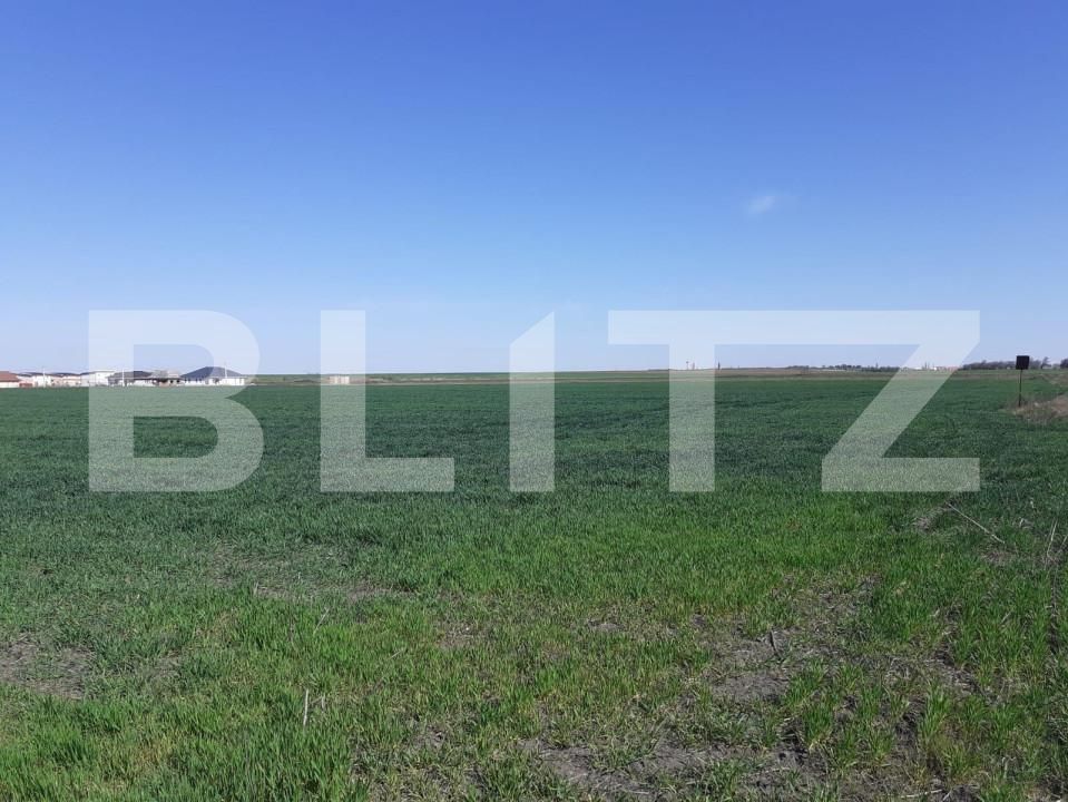 Teren de vânzare Exterior Nord - 128052TV | BLITZ Timișoara | Poza1