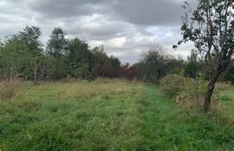 2 case de 3 camere in aceeasi curte la  Ictar-Budinti