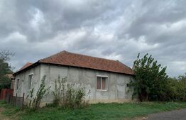 2 case de 3 camere in aceeasi curte la  Ictar-Budinti