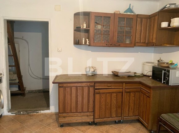 Casa de vânzare 6 camere Exterior Est - 128402CV | BLITZ Timișoara | Poza16