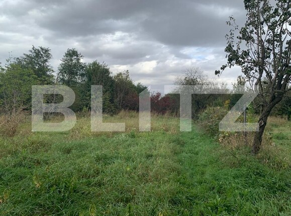 Casa de vânzare 6 camere Exterior Est - 128402CV | BLITZ Timișoara | Poza7