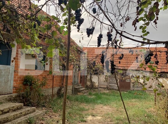 Casa de vânzare 6 camere Exterior Est - 128402CV | BLITZ Timișoara | Poza5