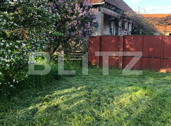 Casa de vânzare 6 camere Exterior Est - 128402CV | BLITZ Timișoara | Poza3