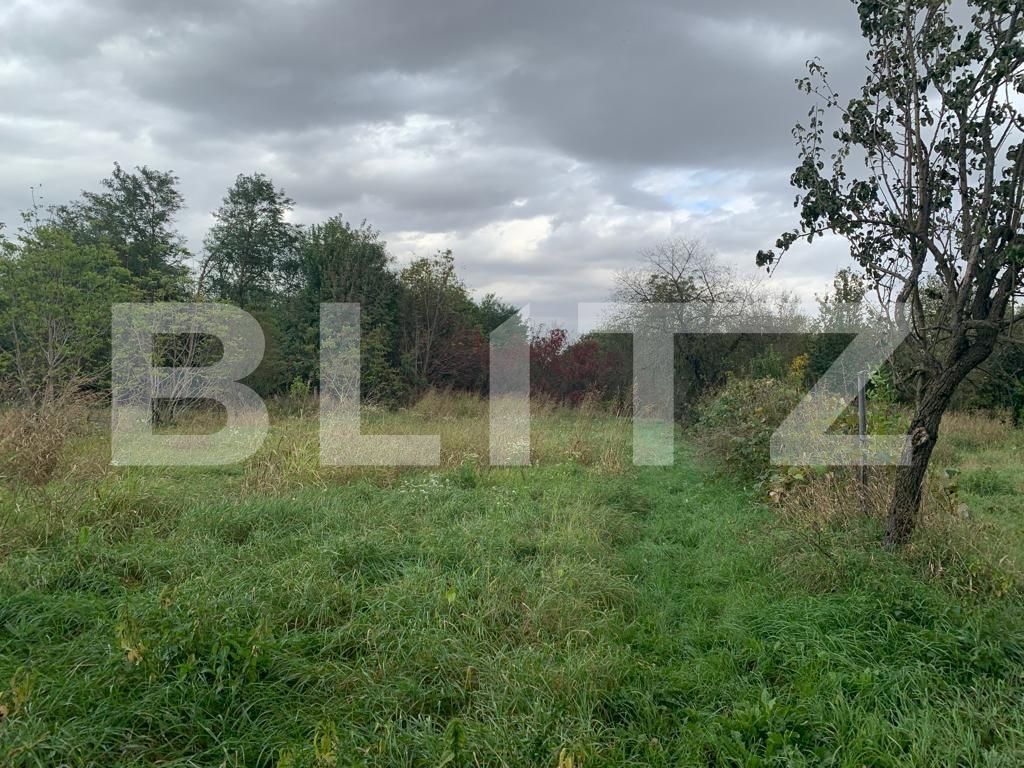 Casa de vânzare 6 camere Exterior Est - 128402CV | BLITZ Timișoara | Poza7