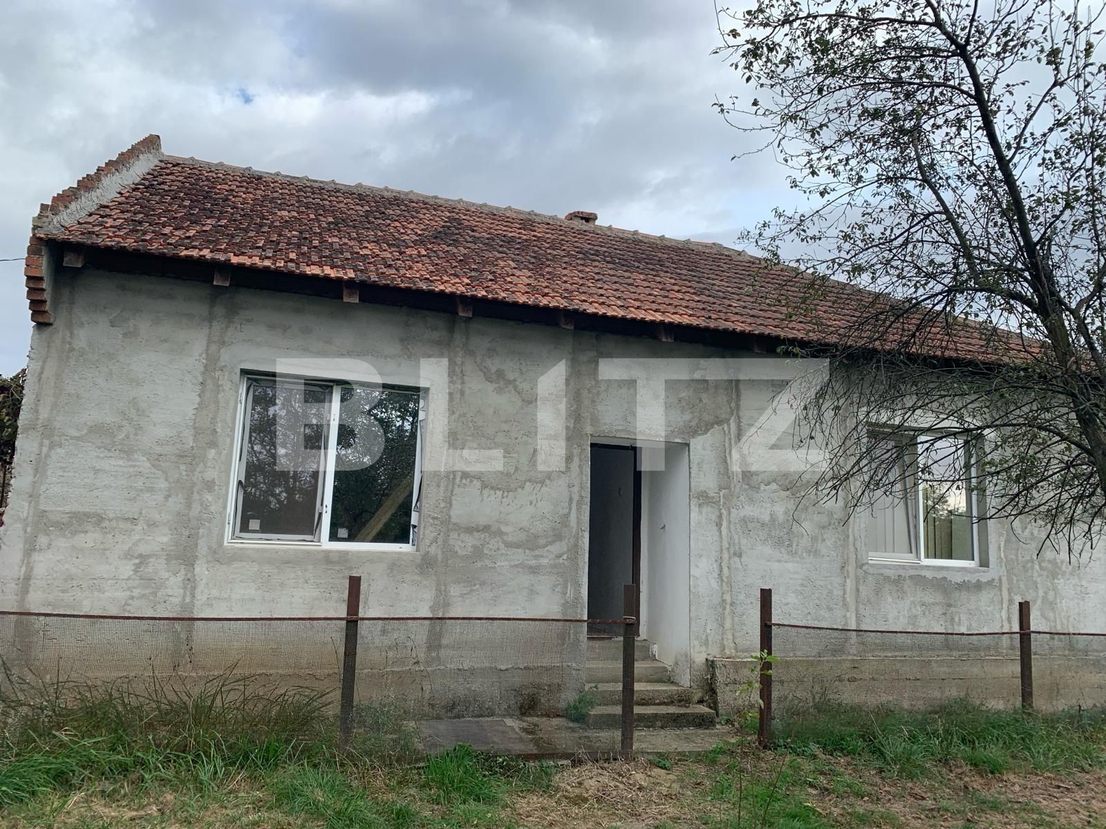 Casa de vânzare 6 camere Exterior Est - 128402CV | BLITZ Timișoara | Poza1