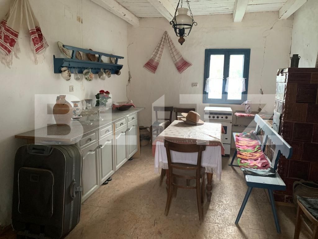 Casa de vânzare 6 camere Exterior Est - 128402CV | BLITZ Timișoara | Poza9