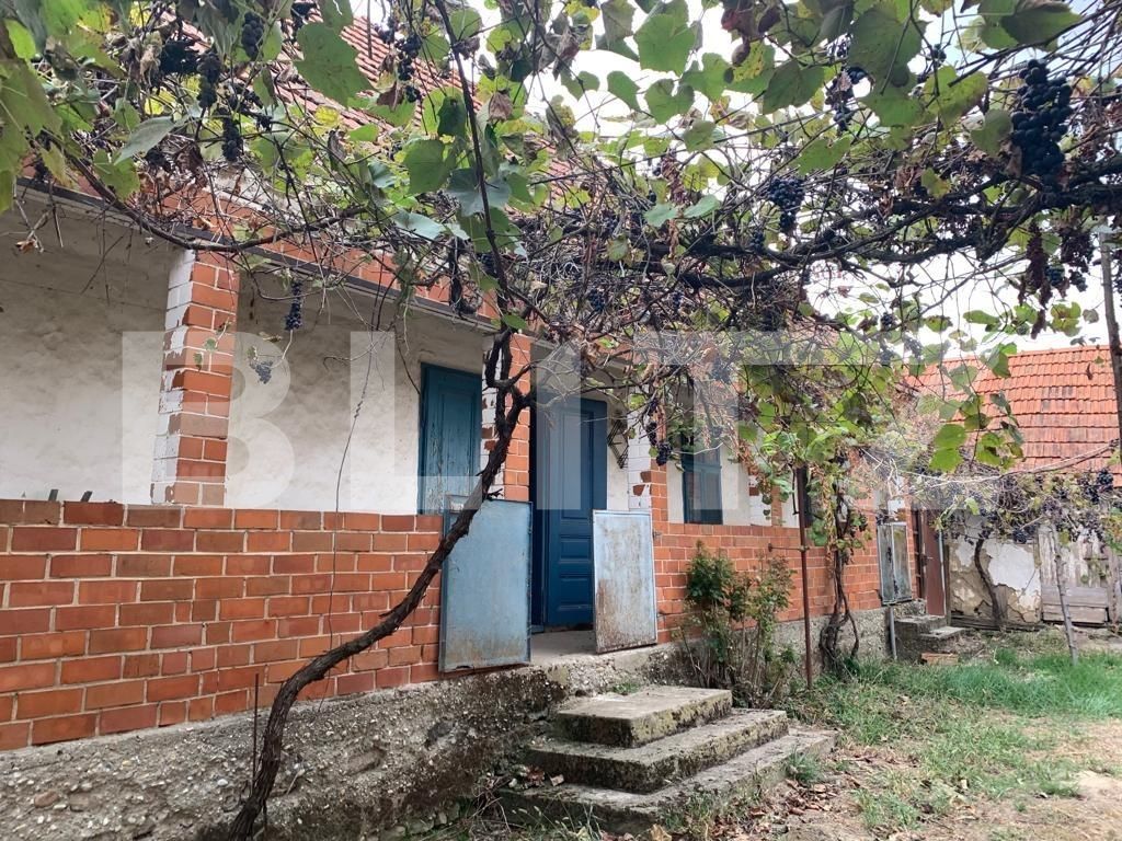 Casa de vânzare 6 camere Exterior Est - 128402CV | BLITZ Timișoara | Poza6