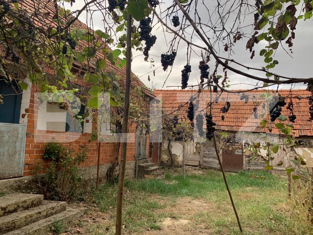 Casa de vânzare 6 camere Exterior Est - 128402CV | BLITZ Timișoara | Poza5