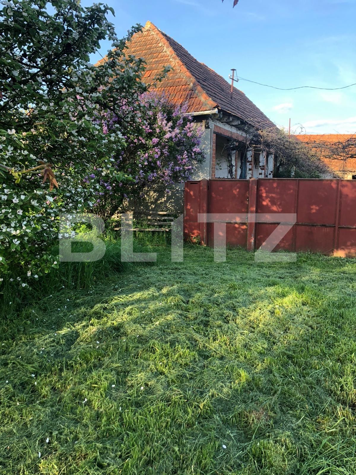 Casa de vânzare 6 camere Exterior Est - 128402CV | BLITZ Timișoara | Poza3