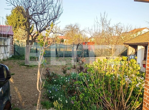 Casa de vânzare 3 camere Buziasului - 128433CV | BLITZ Timișoara | Poza4