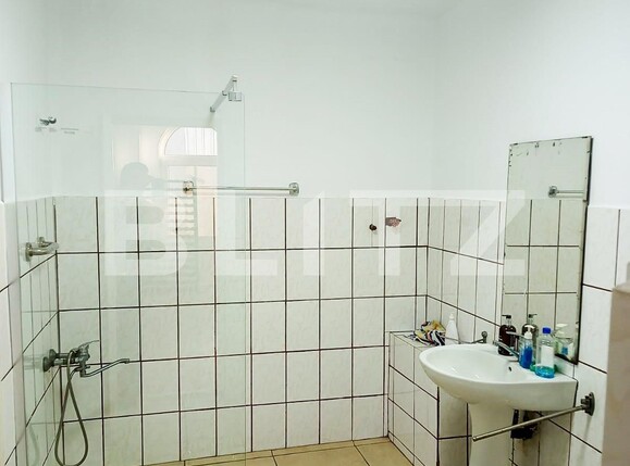 Casa de vânzare 3 camere Buziasului - 128433CV | BLITZ Timișoara | Poza14