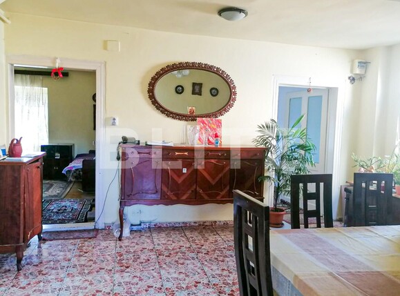 Casa de vânzare 3 camere Buziasului - 128433CV | BLITZ Timișoara | Poza8