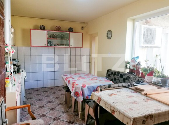 Casa de vânzare 3 camere Buziasului - 128433CV | BLITZ Timișoara | Poza11