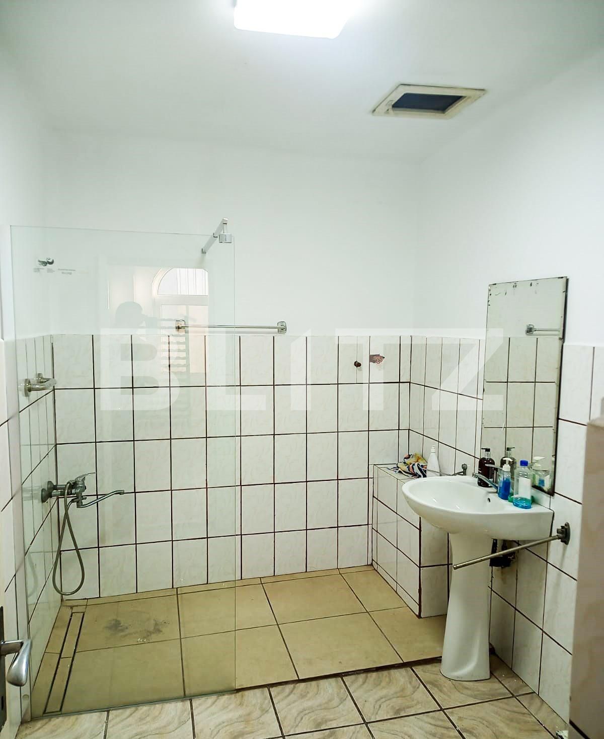 Casa de vânzare 3 camere Buziasului - 128433CV | BLITZ Timișoara | Poza14