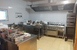 Pensiunea, 13 apartamente, 500mp, zona Mehala