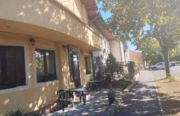 Pensiunea, 13 apartamente, 500mp, zona Mehala