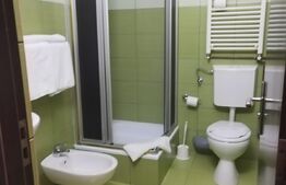 Pensiunea, 13 apartamente, 500mp, zona Mehala
