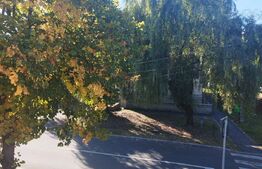 Pensiunea, 13 apartamente, 500mp, zona Mehala