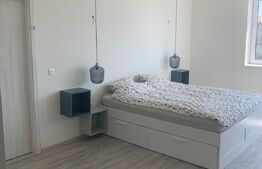 Duplex exclusivist, 5 camere, 185mp utili, 390mp teren, Sacalaz