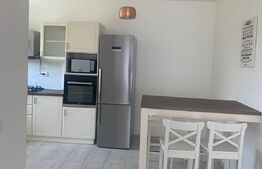 Duplex exclusivist, 5 camere, 185mp utili, 390mp teren, Sacalaz