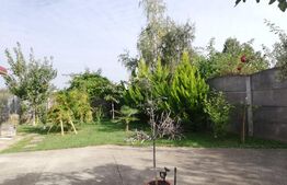 Casa 7 camere, 180mp utili, teren 650mp, soseaua principala Sacalaz