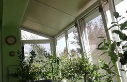 Casa 7 camere, 180mp utili, teren 650mp, soseaua principala Sacalaz