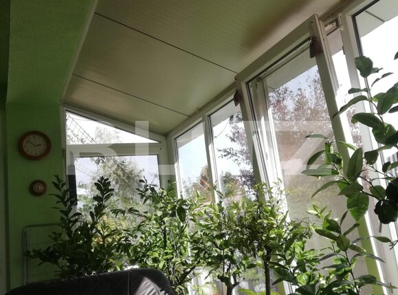 Casa de vânzare 7 camere Sacalaz - 128516CV | BLITZ Timișoara | Poza9