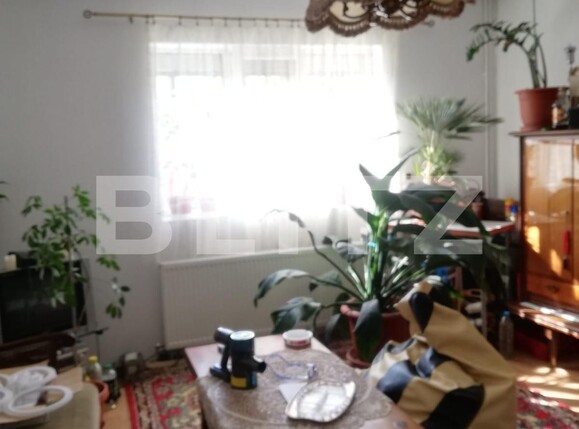 Casa de vânzare 7 camere Sacalaz - 128516CV | BLITZ Timișoara | Poza6