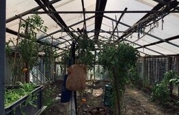 Casa 3 camere, 112 mp utili, teren 1240 mp, Ghirodei