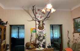 Casa 3 camere, 112 mp utili, teren 1240 mp, Ghirodei