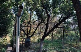 Casa 3 camere, 112 mp utili, teren 1240 mp, Ghirodei